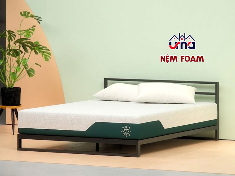 mua-nem-foam-cao-cap-tai-uma