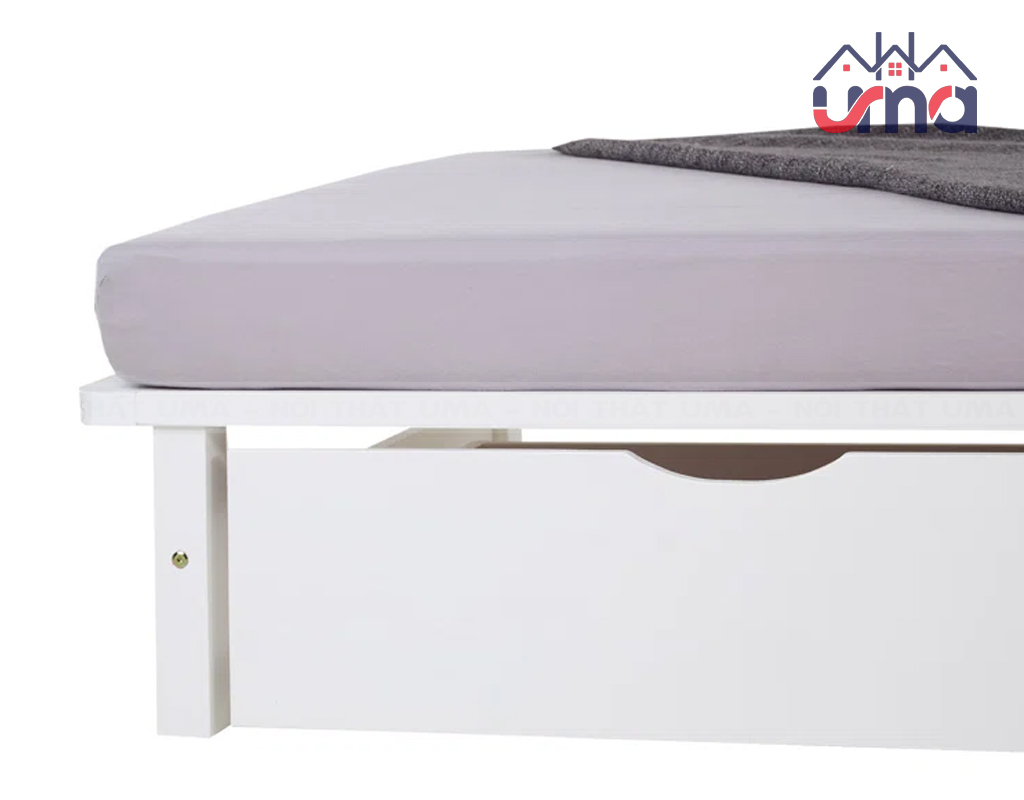 giuong-pallet-don-go-hien-dai-gn094