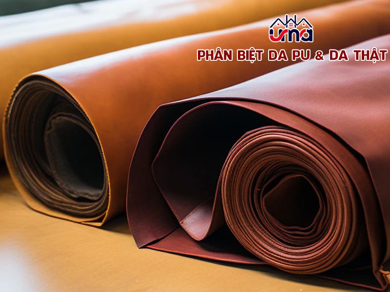 phan-biet-da-pu-va-da-that