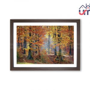tranh-treo-tuong-rung-mua-thu-cao-cap-ttt008
