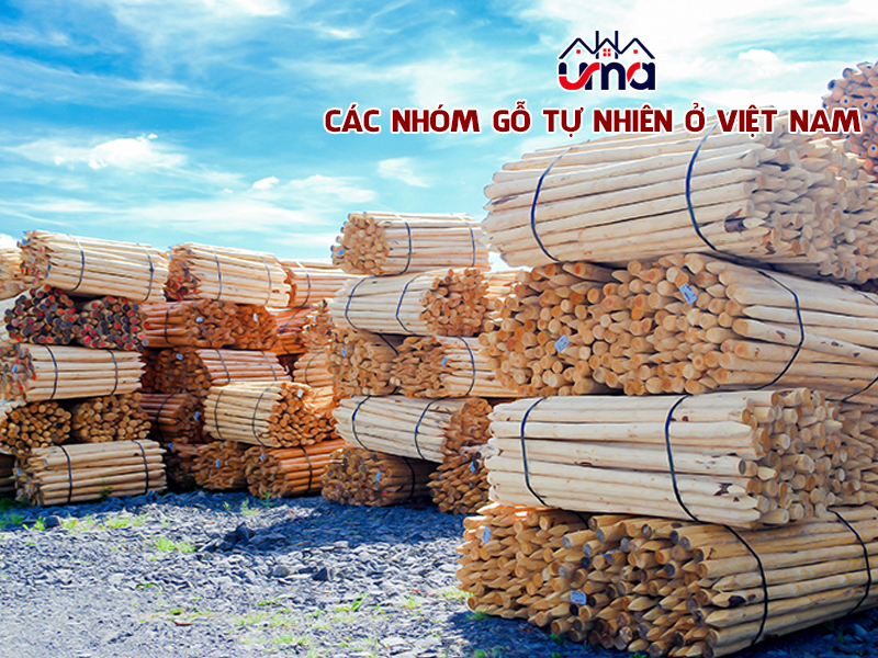 cac-nhom-go-tu-nhien-o-viet-nam