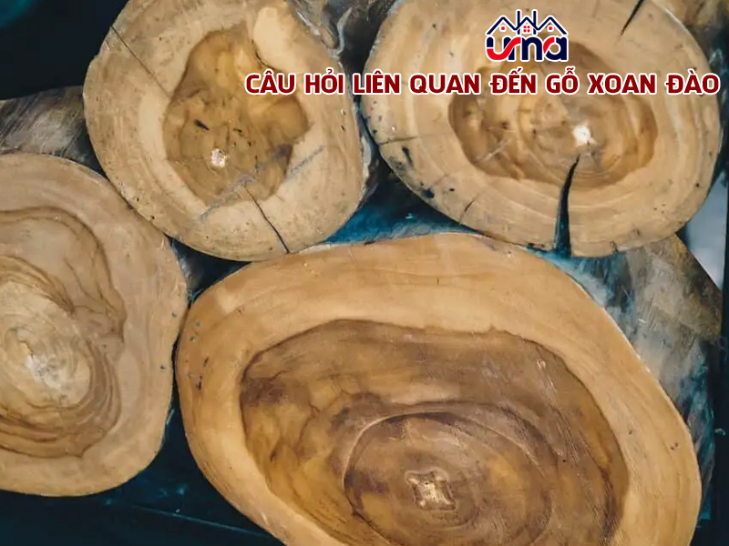 cau-hoi-lien-quan-den-go-xoan-dao