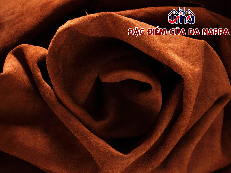 dac-diem-cua-da-nappa