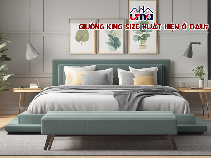 giuong-king-size-xuat-hien-o-dau