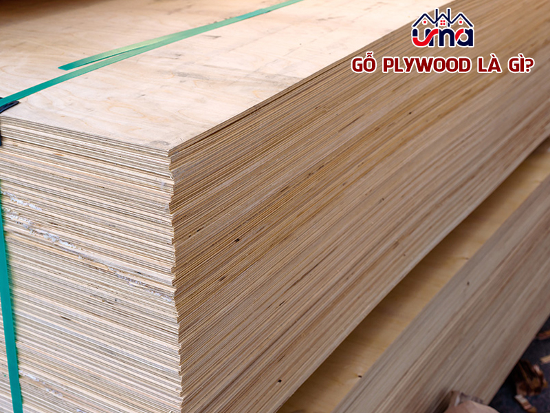 go-plywood-la-gi