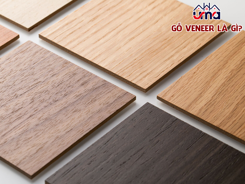 go-veneer-la-gi