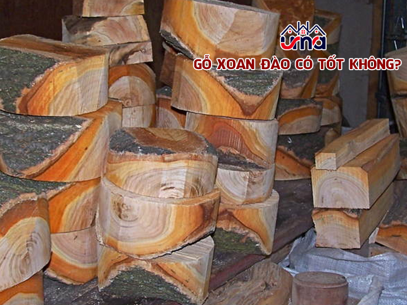 go-xoan-dao-co-tot-khong