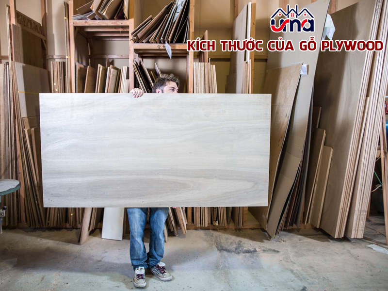kich-thuoc-cua-go-plywood