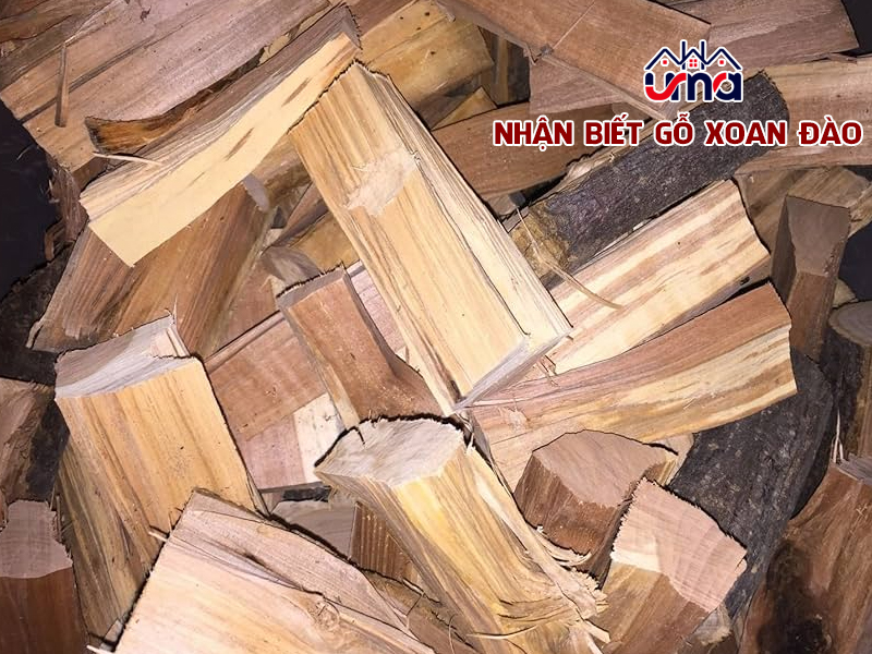 nhan-biet-go-xoan-dao