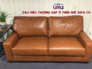 dau-hieu-thuong-gap-o-tren-ghe-sofa-cu