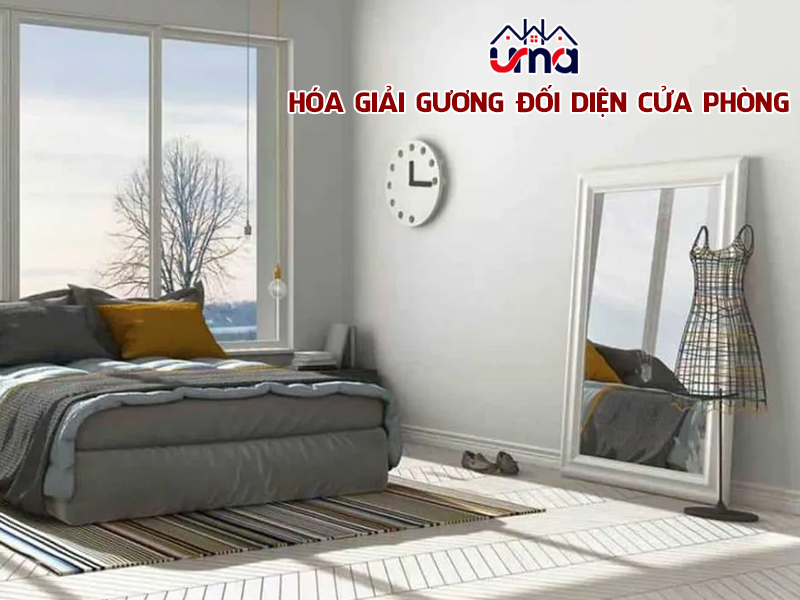 hoa-giai-guong-doi-dien-cua-phong