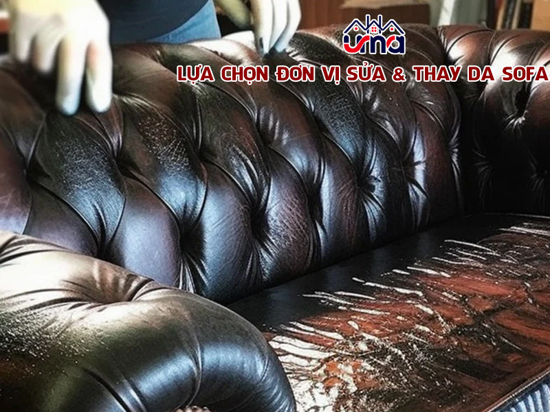 lua-chon-don-vi-sua-thay-da-sofa