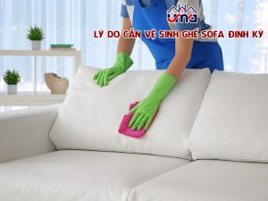 ly-do-can-ve-sinh-ghe-sofa-dinh-ky