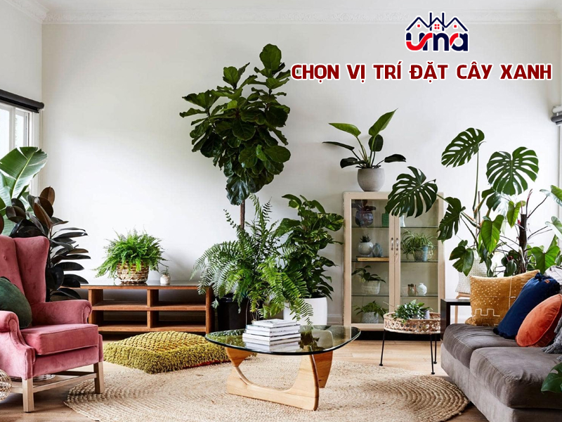 chon-vi-tri-dat-cay-xanh