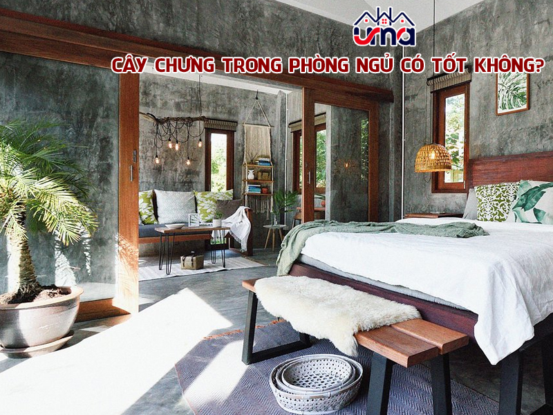 cay-chung-trong-phong-ngu-co-tot-khong