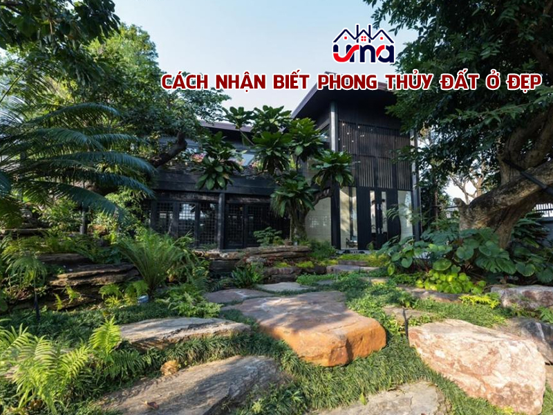 cach-nhan-biet-phong-thuy-dat-o-dep