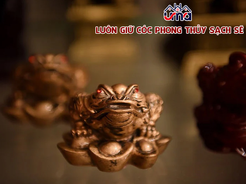 luon-giu-coc-phong-thuy-sach-se