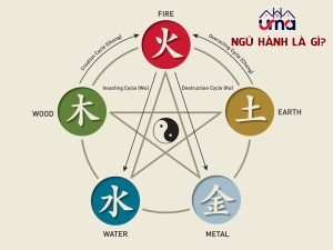 ngu-hanh-la-gi