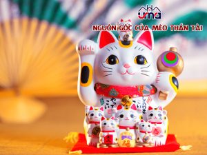 nguon-goc-cua-meo-than-tai