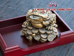 ý-nghia-cua-coc-phong-thuy