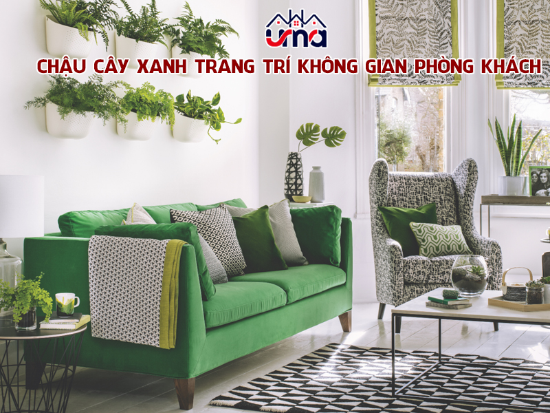 chau-cay-xanh-trang-tri-khong-gian-phong-khach