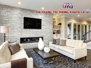 da-trong-tri-phong-khach-la-gi