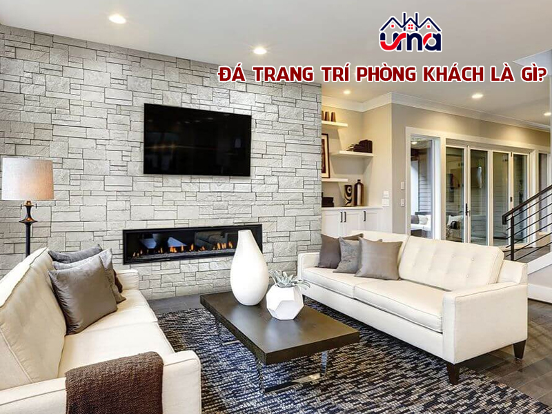 da-trong-tri-phong-khach-la-gi