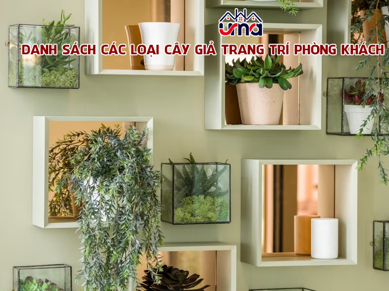 danh-sach-cac-loai-cay-gia-trang-tri-phong-khach
