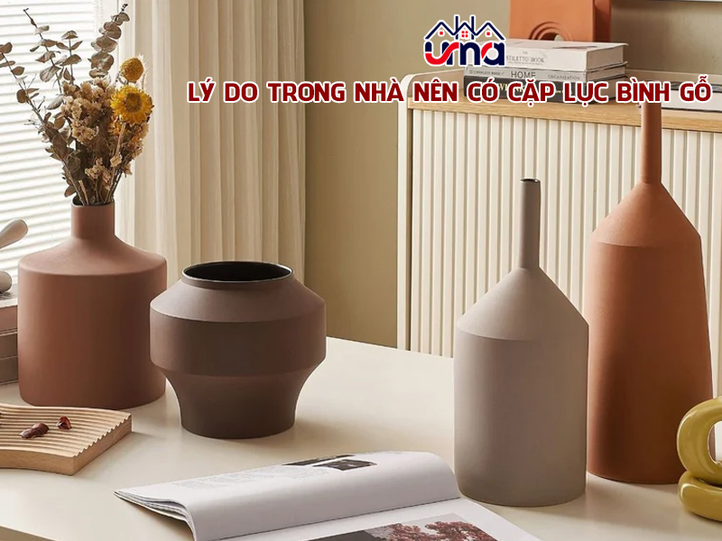 ly-do-trong-nha-nen-co-cap-luc-binh-go
