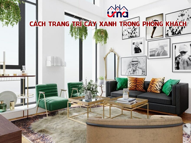 cach-trang-tri-cay-xanh-trong-phong-khach