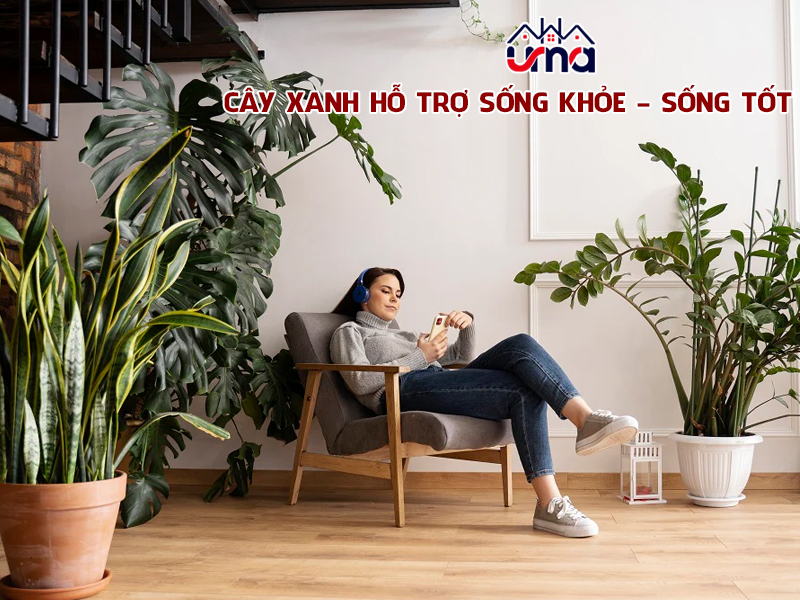 cay-xanh-ho-tro-song-khoe-song-tot