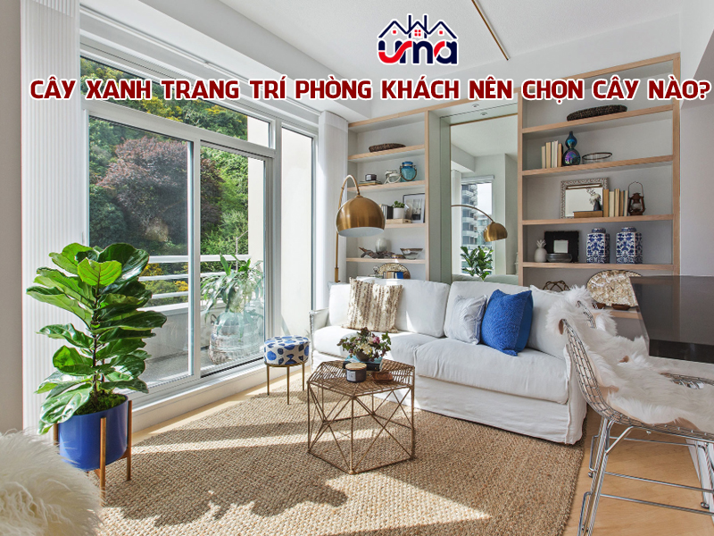 cay-xanh-trang-tri-phong-khach-nen-chon-cay-nao