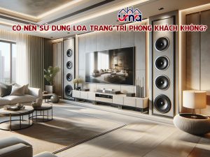 co-nen-su-dung-loa-trang-tri-phong-khach-khong