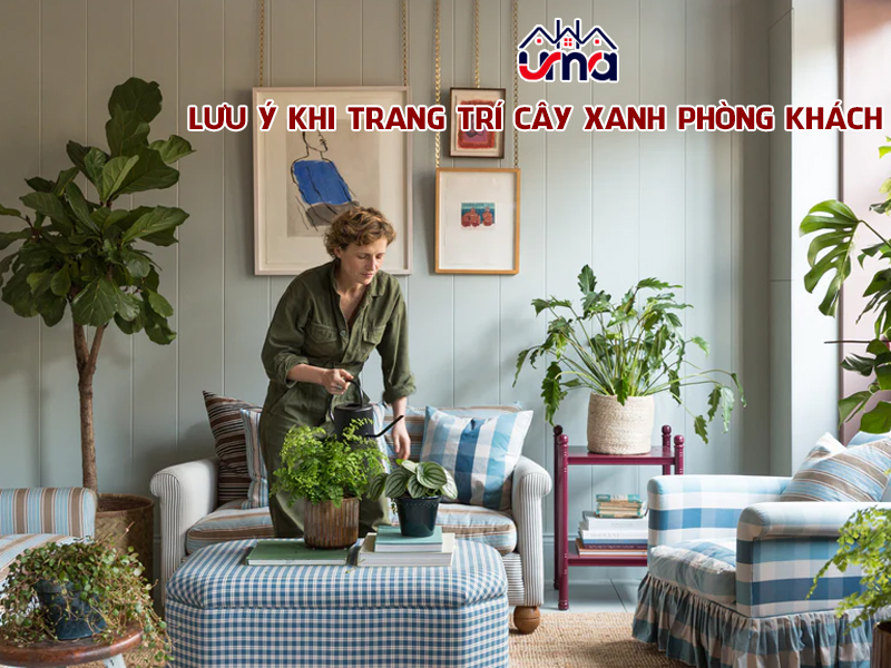 luu-y-khi-trang-tri-cay-xanh-phong-khach