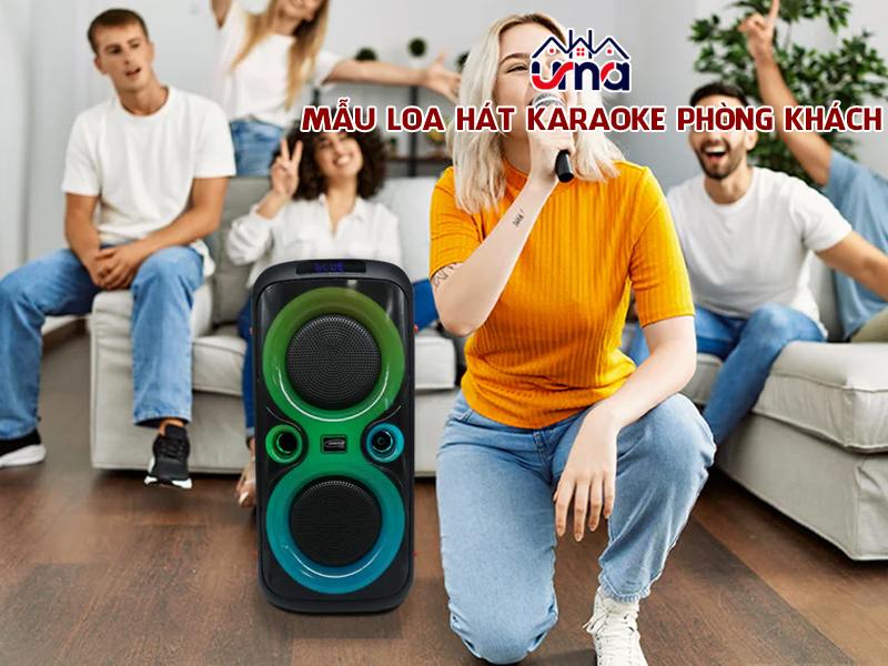 mau-loa-hat-karaoke-phong-khach