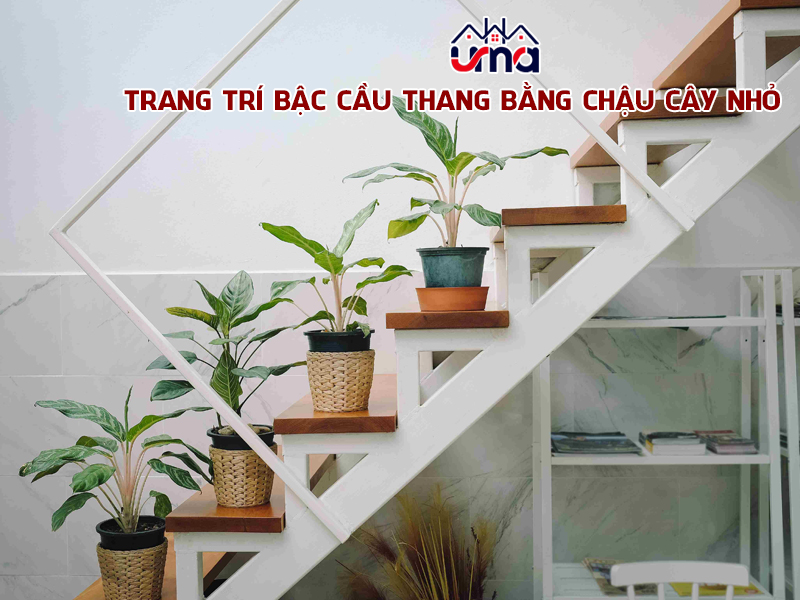 trang-tri-bac-cau-thang-bang-chau-cay-nho