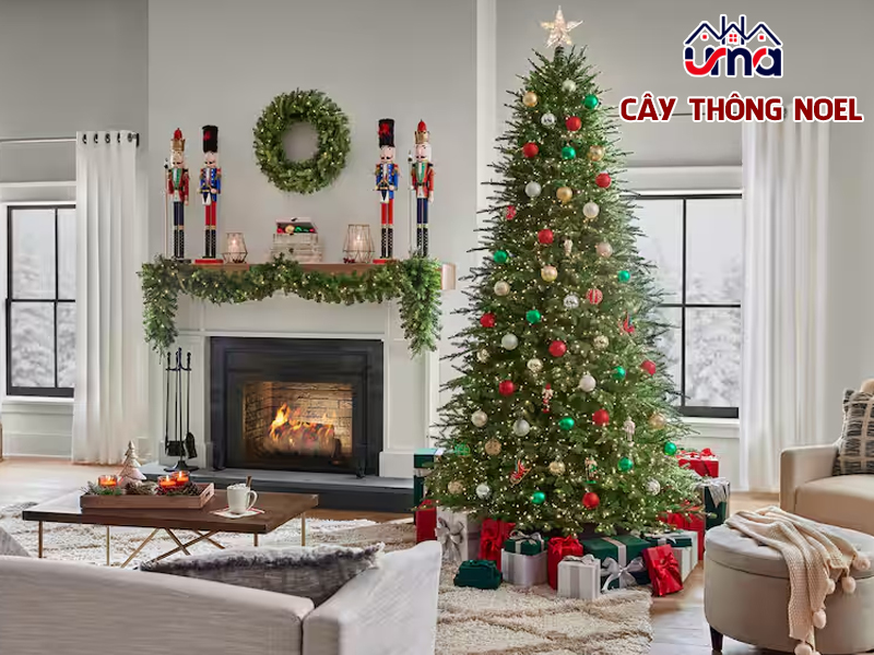 cay-thong-noel