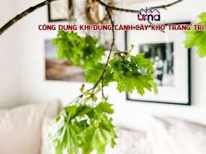 cong-dung-khi-dung-canh-cay-kho-trang-tri