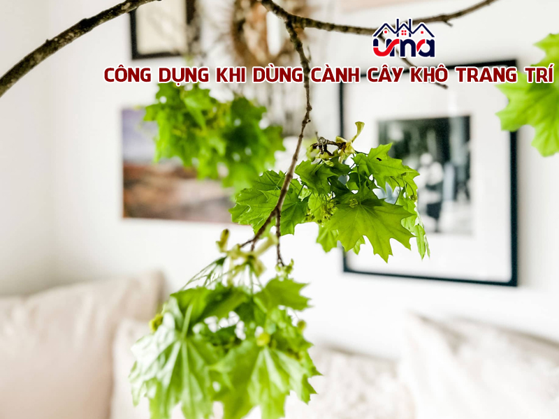 cong-dung-khi-dung-canh-cay-kho-trang-tri
