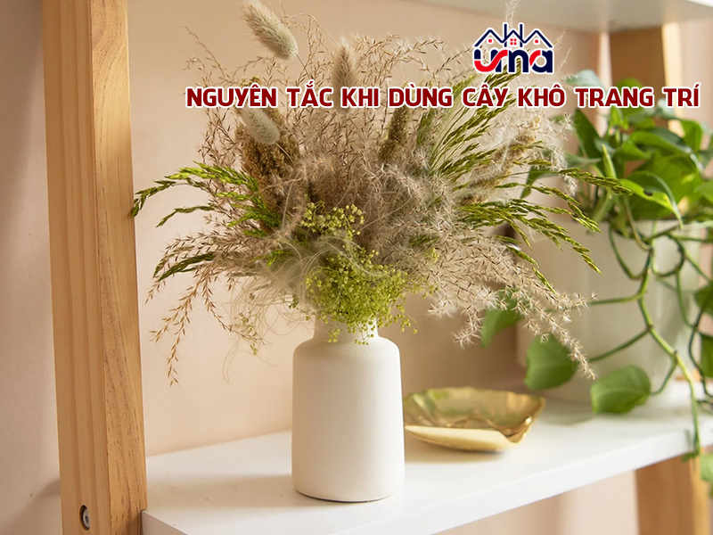 nguyen-tac-khi-dung-cay-kho-trang-tri