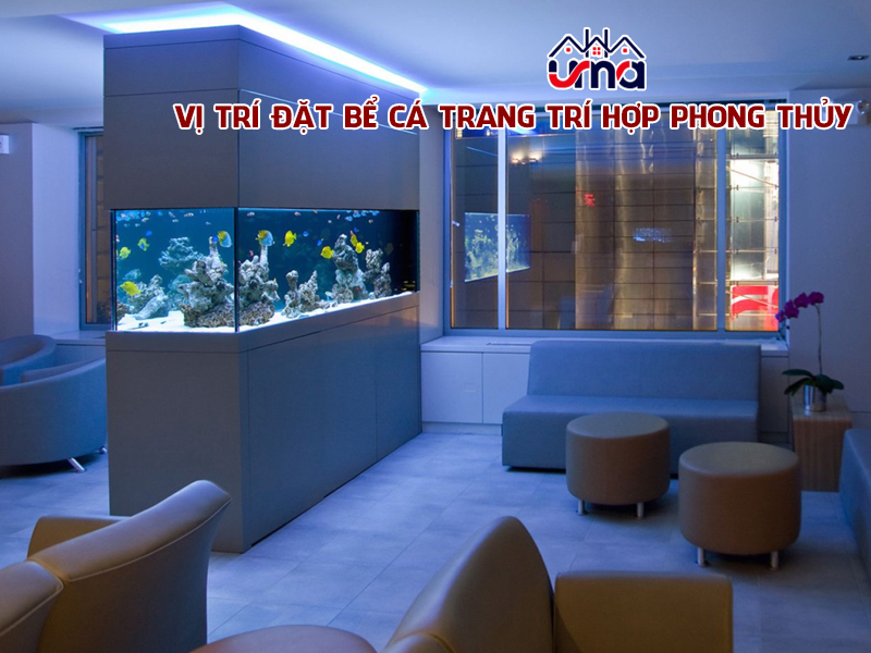vi-tri-dat-be-ca-trang-tri-hop-phong-thuy