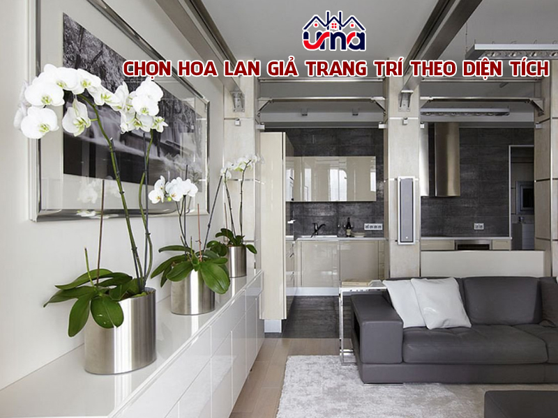 chon-hoa-lan-gia-trang-tri-theo-dien-tich