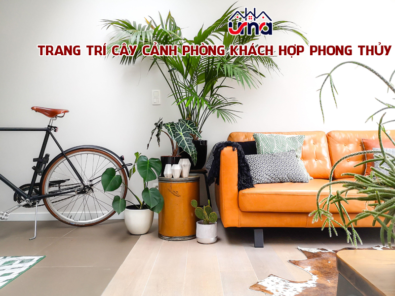trang-tri-cay-canh-phong-khach-hop-phong-thuy