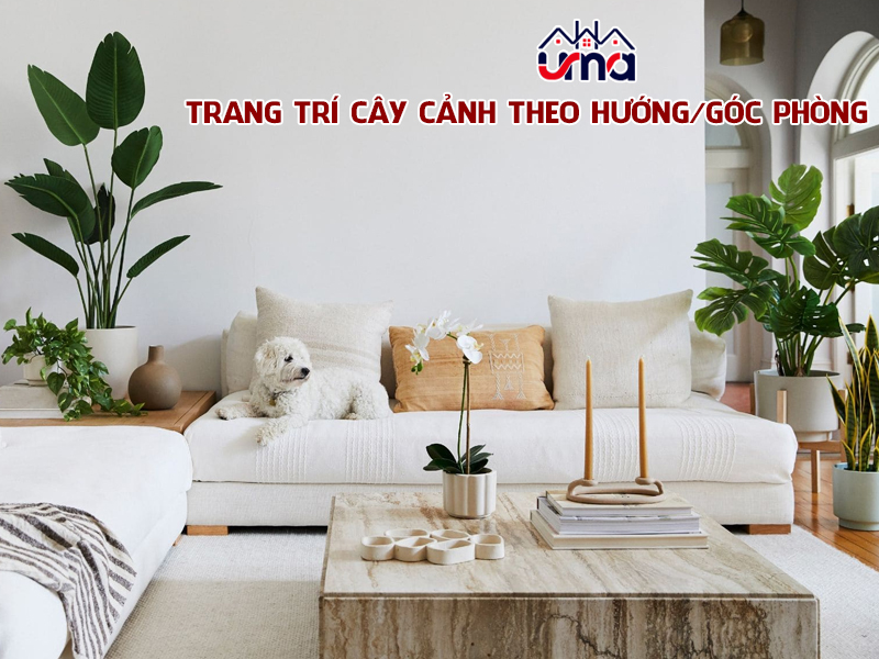 trang-tri-cay-canh-theo-huong-goc-phong