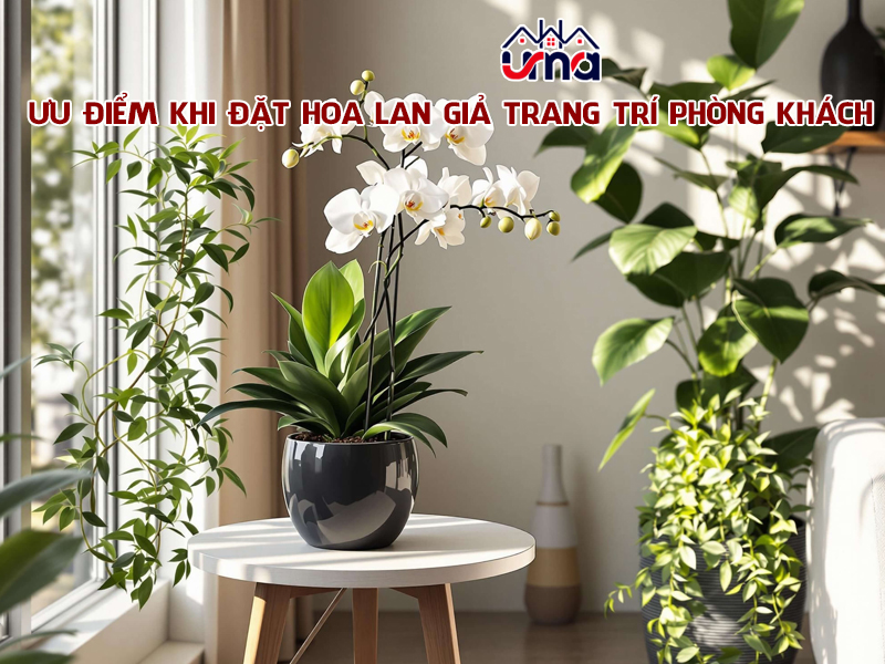 uu-diem-khi-dat-hoa-lan-gia-trang-tri-phong-khach