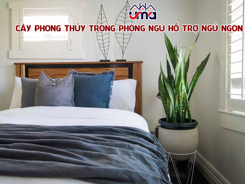 cay-phong-thuy-trong-phong-ngu-ho-tro-ngu-ngon