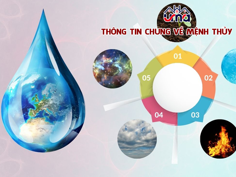 thong-tin-chung-ve-menh-thuy