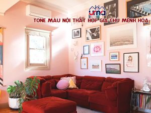 tone-mau-noi-that-hop-gia-chu-menh-hoa