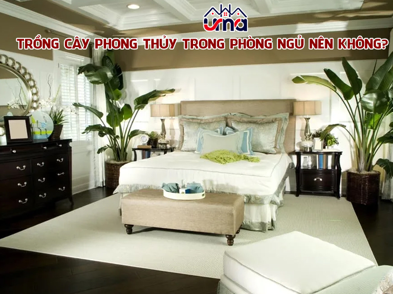 trong-cay-phong-thuy-trong-phong-ngu-nen-khong-1