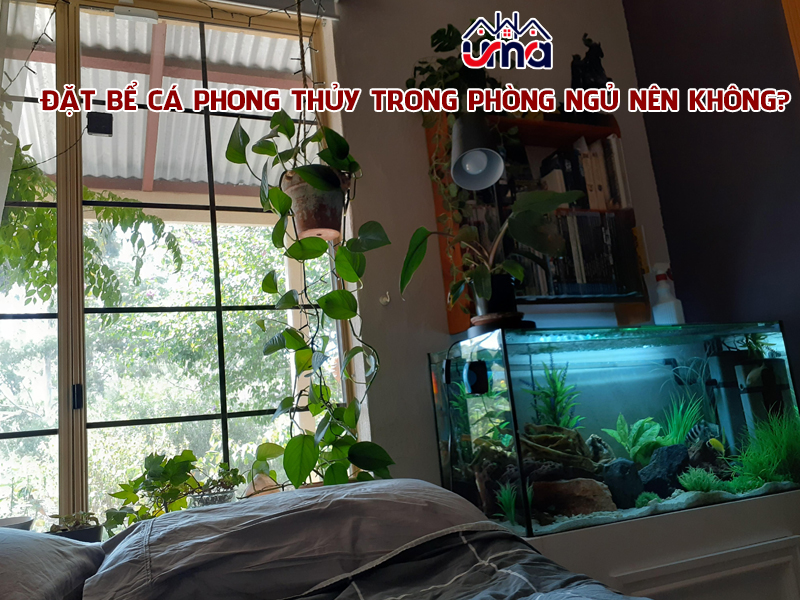 dat-be-ca-phong-thuy-trong-phong-ngu-nen-khong
